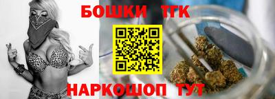 СК Дубна