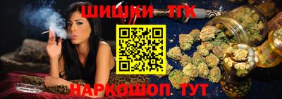 СК Дубна