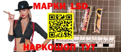 СК Дубна
