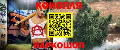дживик Донской