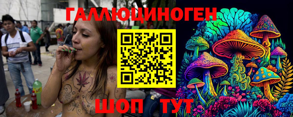 Псилоцибиновые грибы Psilocybe Мытищи