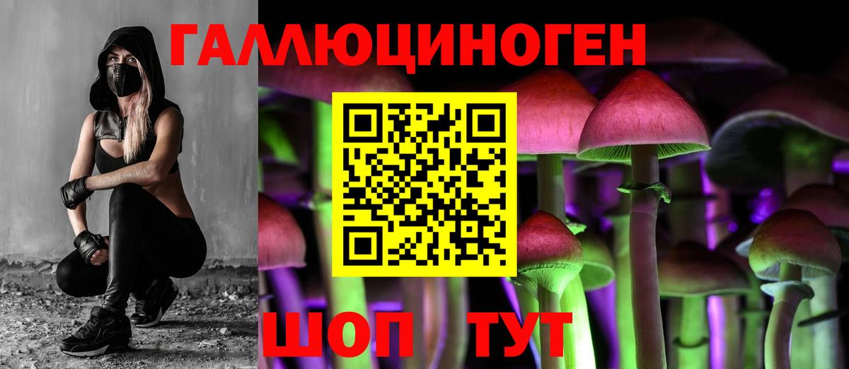 Мытищи  Псилоцибиновые грибы MAGIC MUSHROOMS  Галлюциногенные грибы Magic Shrooms  Вход с VPN 